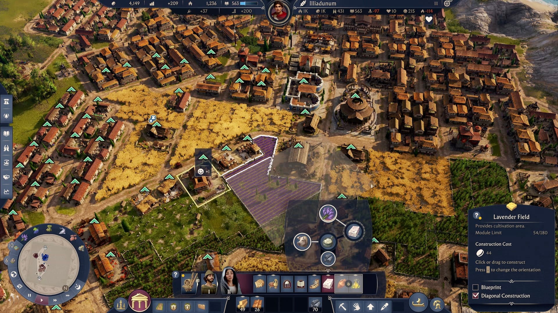 A screenshot from Anno 117: Pax Romana with a view of a Roman city, dense with buildings at the top with wheat, lavender, and olive tree fields in the center.